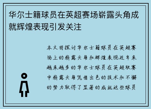 华尔士籍球员在英超赛场崭露头角成就辉煌表现引发关注