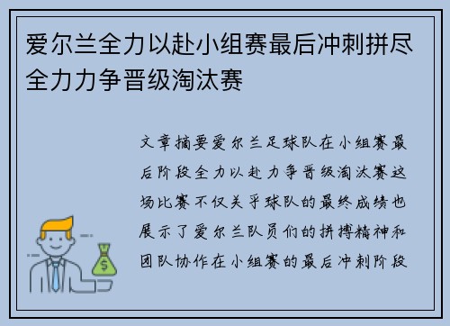 爱尔兰全力以赴小组赛最后冲刺拼尽全力力争晋级淘汰赛
