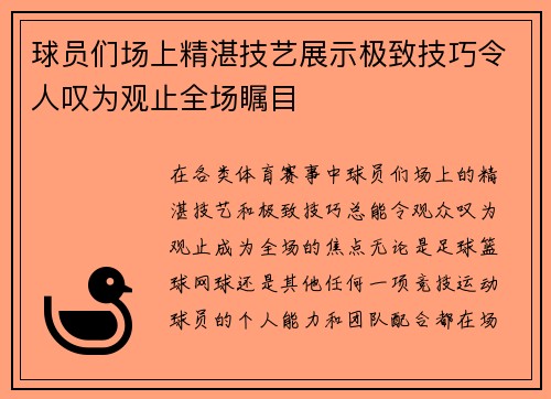 球员们场上精湛技艺展示极致技巧令人叹为观止全场瞩目