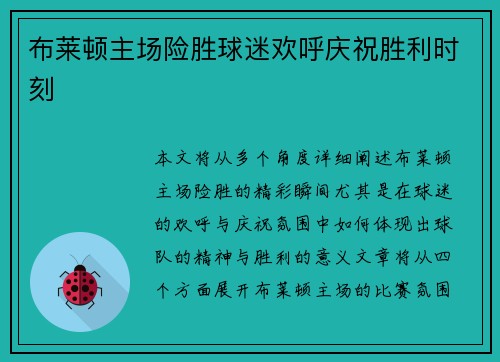 布莱顿主场险胜球迷欢呼庆祝胜利时刻