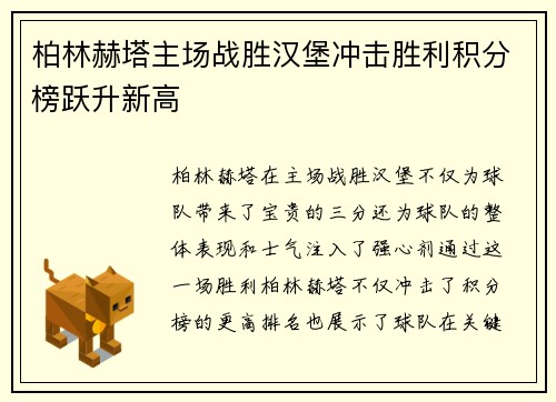 柏林赫塔主场战胜汉堡冲击胜利积分榜跃升新高